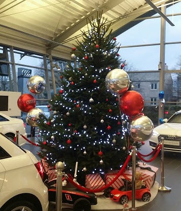 The Norway Spruce Christmas Tree is the 'traditional' christmas tree. The tree is fresh, slender and bushy.