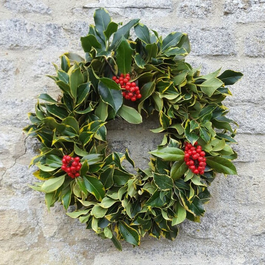 green and gold variegated holly wreaths for sale in Cirencester, Gloucesterhsire for delivery or collection
