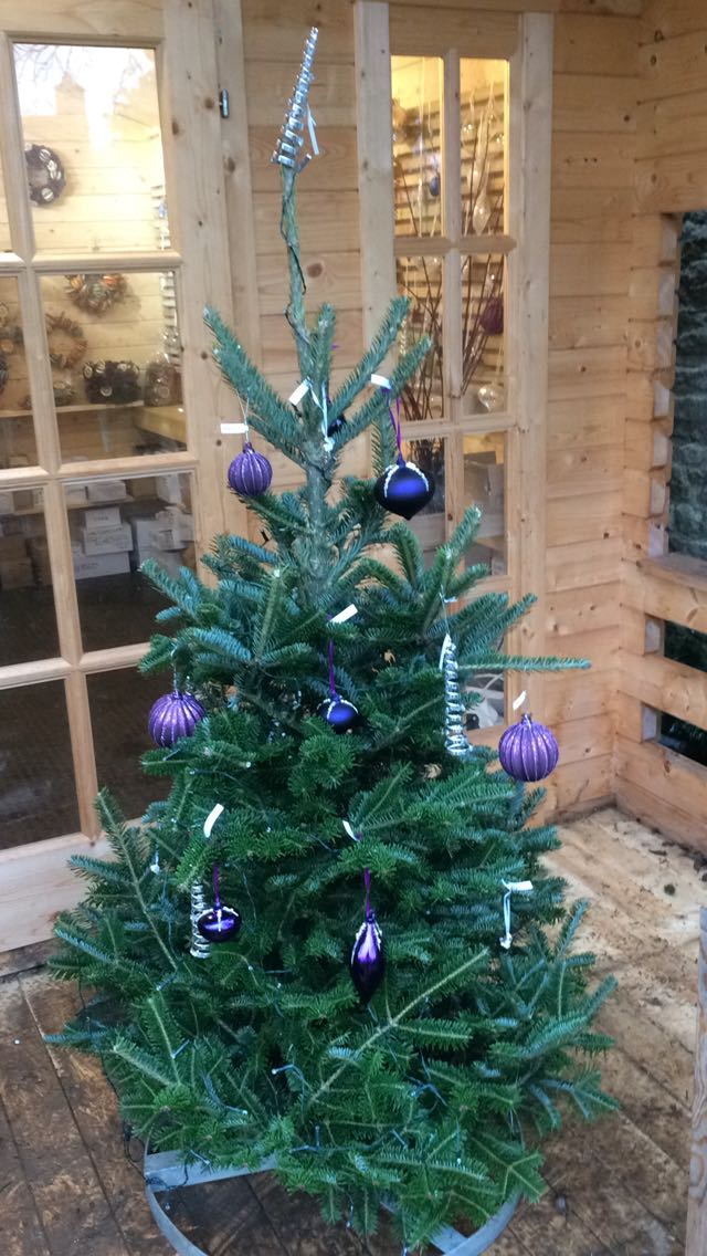 Fraser Fir Christmas Tree Cut