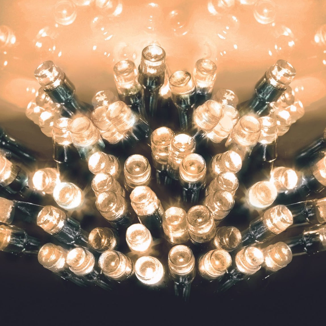 This set of 5m battery operated lights is ideal for a small tree or to decorate an area in a house or office.