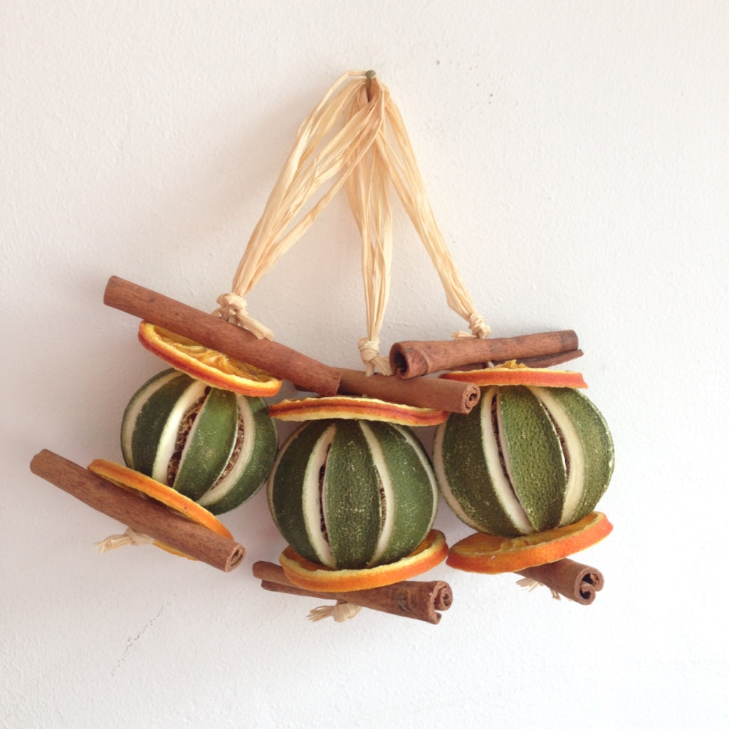 Lemon and Orange Dried Fruit Hanging Garland