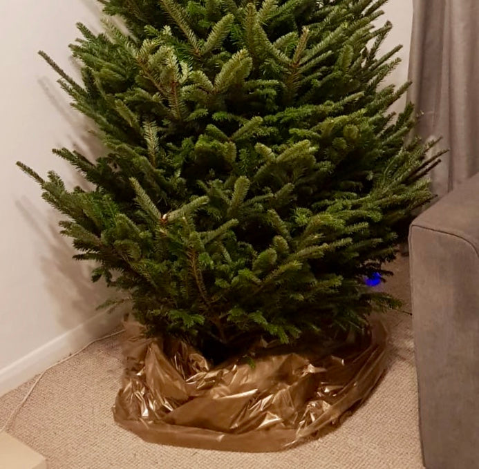 Decorative and mess-free tree removal bags. Available in gold or silver.