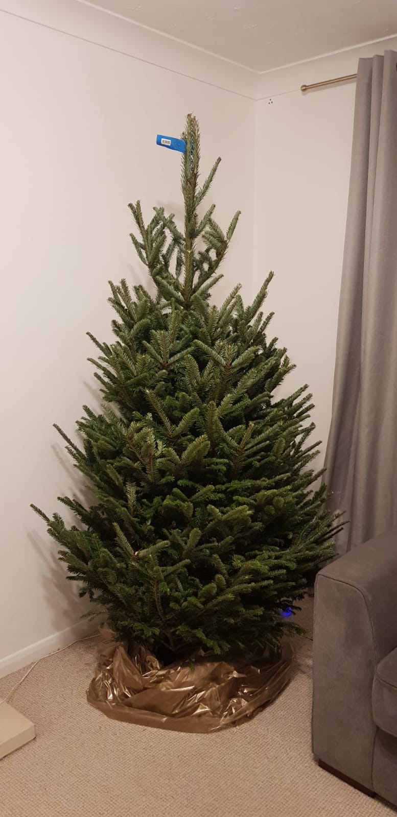 Decorative and mess-free tree removal bags. Available in gold or silver.