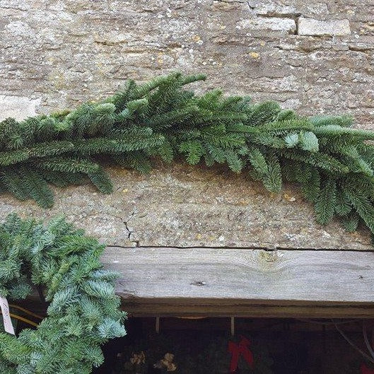 Stunning noble fir garlands in lengths of 2 meters can be used to decorate fire places, stairs and doorways.