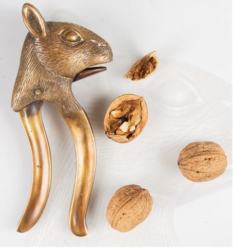 Striking solid brass squirrel's head nutcracker