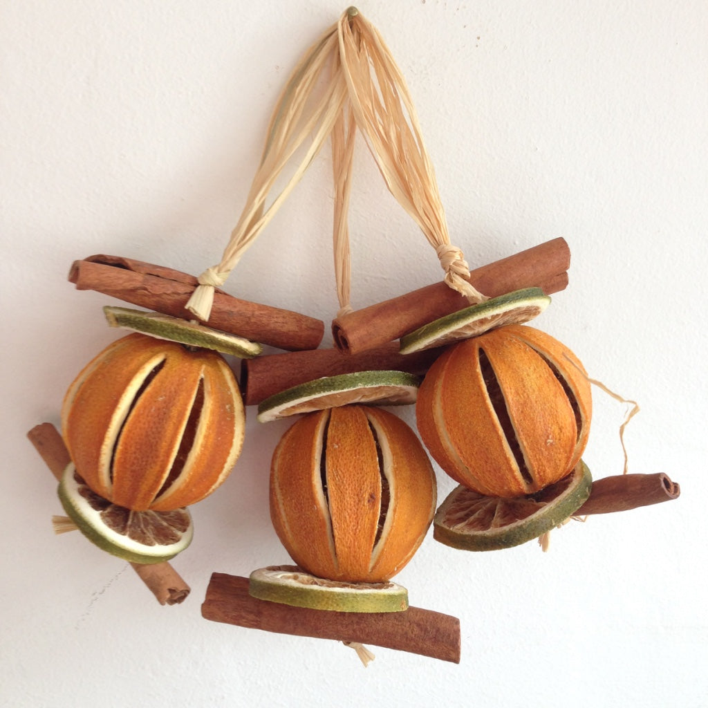 Lemon and Orange Dried Fruit Hanging Garland