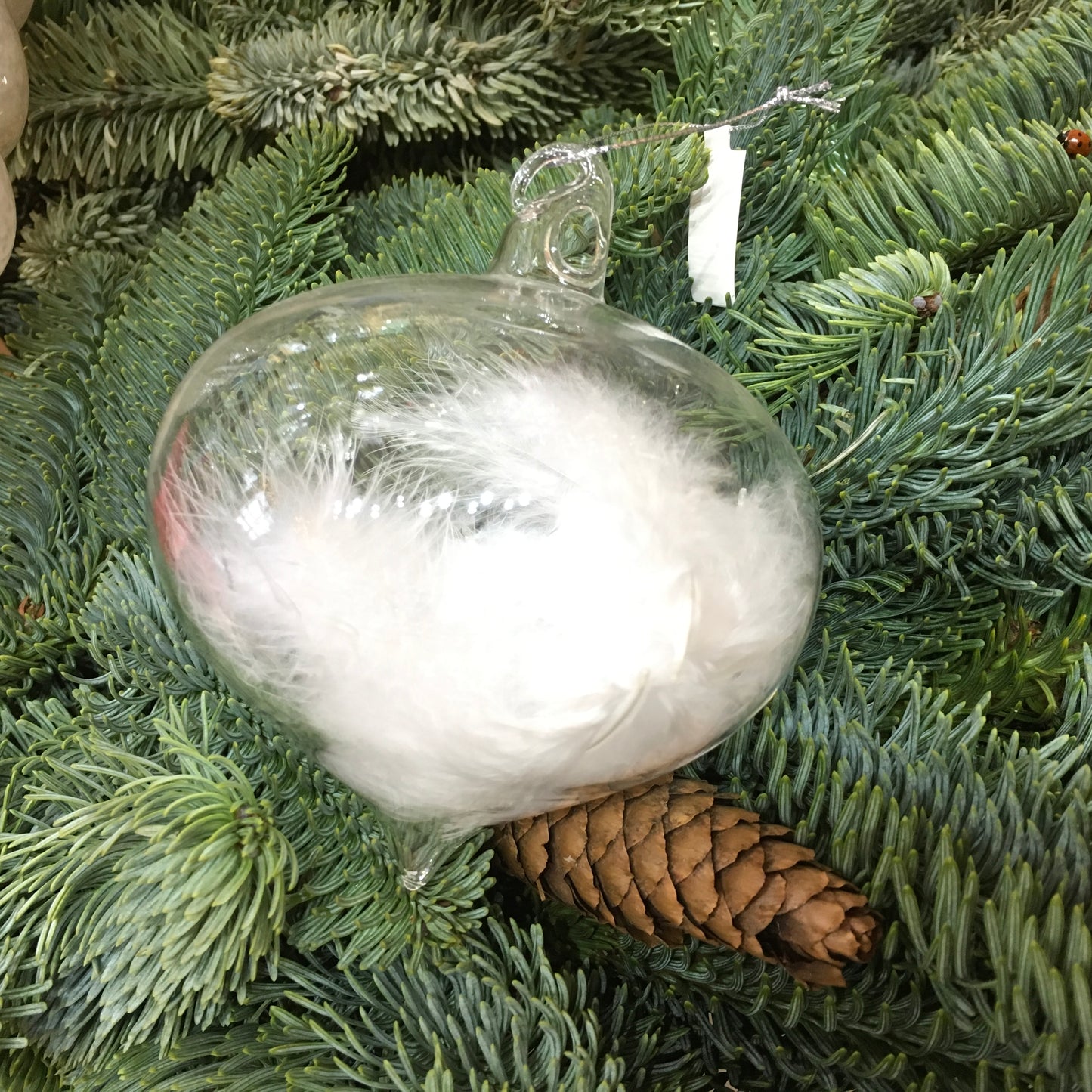 Clear glass sultan Christmas decoration with real white feathers inside