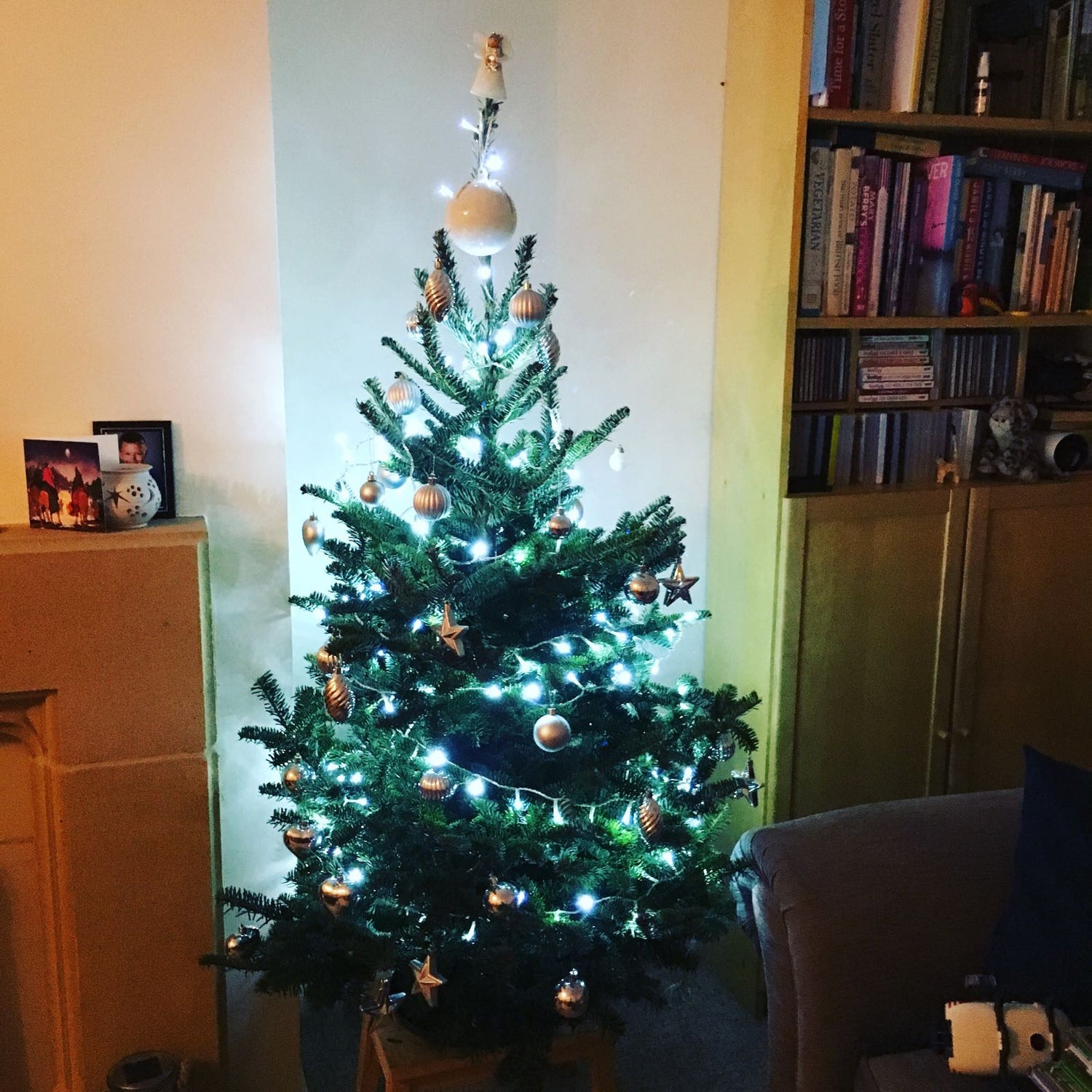 Fraser Fir Christmas Tree Cut