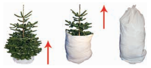Decorative and mess-free tree removal bags. Available in gold or silver.