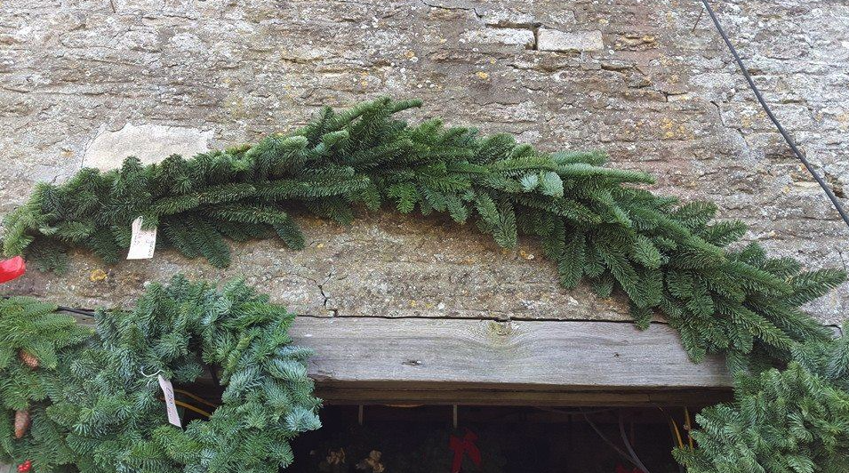 Noble Fir Garland 2 metre Undecorated