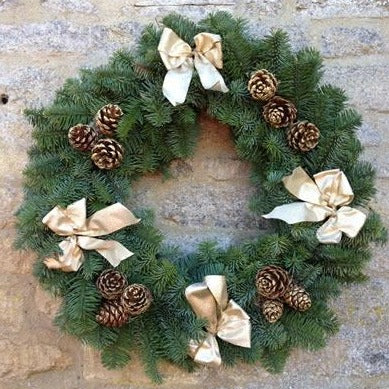 Noble fir Christmas wreath decorated with a gold ribbons and clusters of gold fir cones.