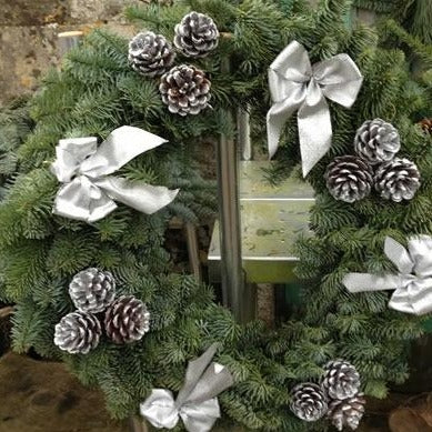 Noble fir Christmas wreath decorated with a silver ribbons and clusters of silver fir cones.