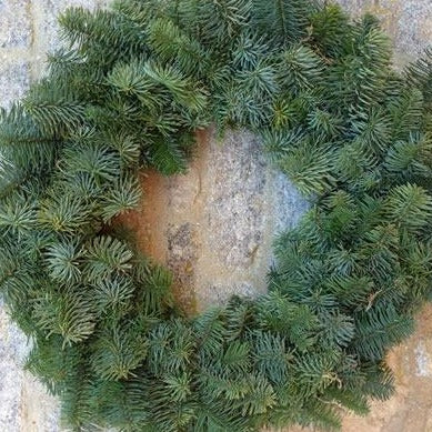 Natural noble fir non-drop green wreath for indoor and outdoor decoration.